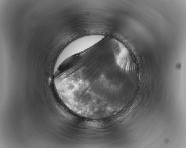 X0000098190069200805081057