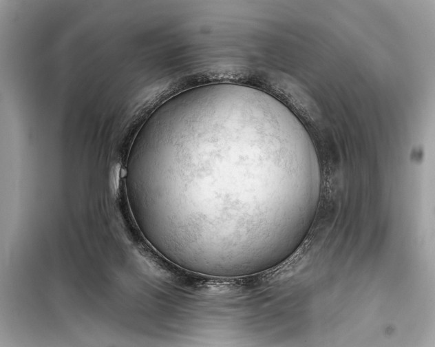 X0000098190070200805081057
