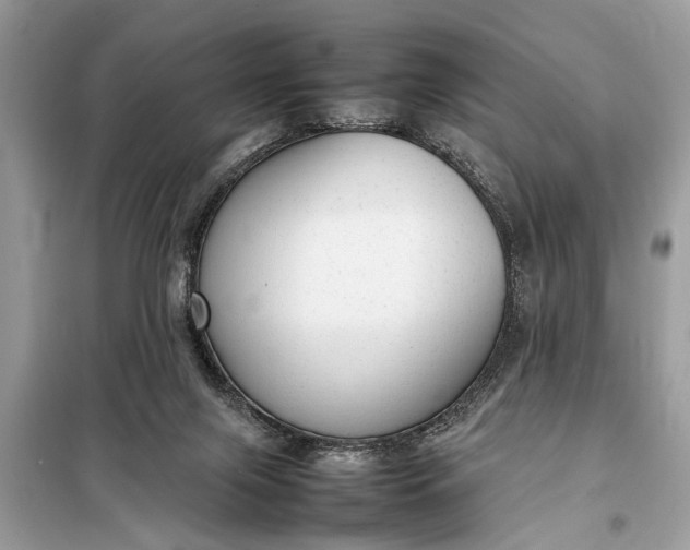 X0000098190071200805081057