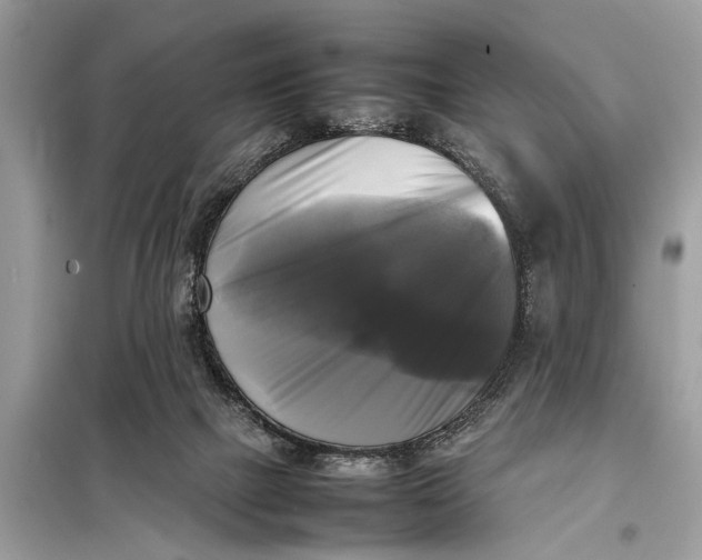 X0000098190073200805081057