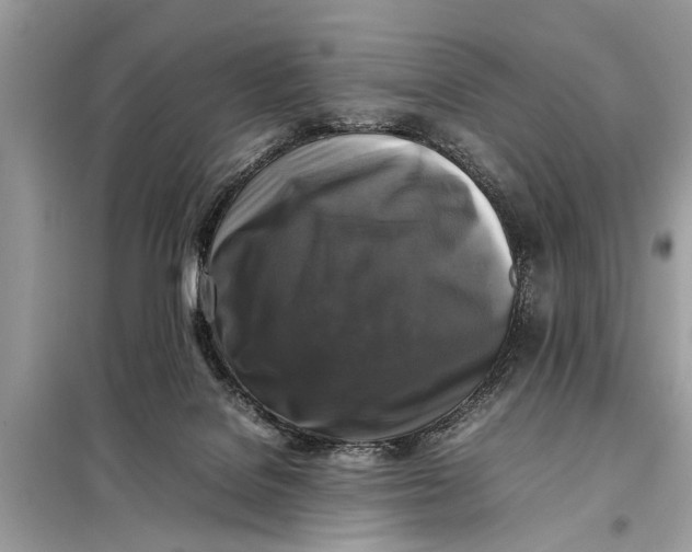 X0000098190076200805081058