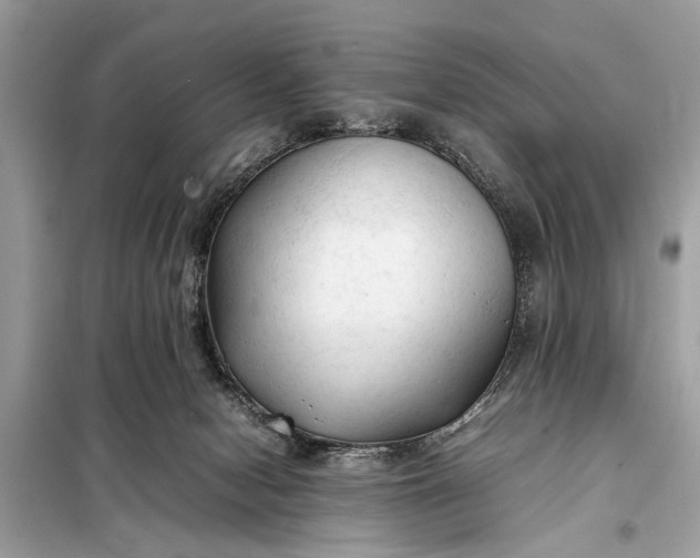 X0000098190078200805081058