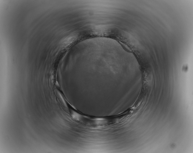 X0000098190080200805081058