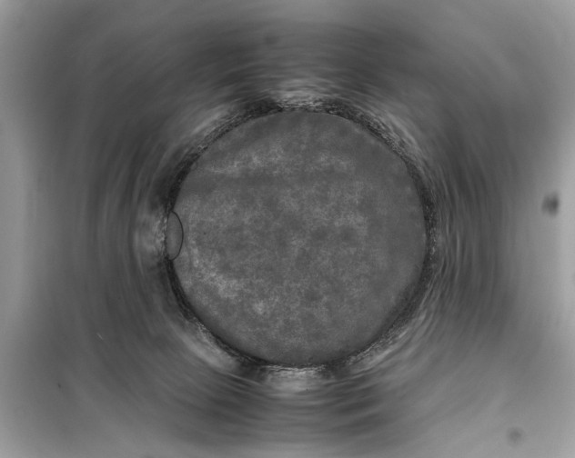 X0000098190081200805081058