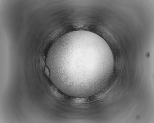 X0000098190085200805081058