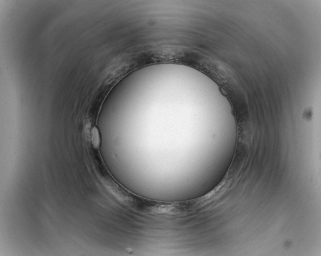 X0000098190086200805081058