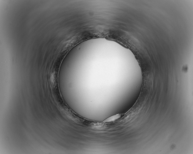 X0000098190088200805081058
