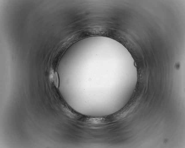 X0000098190089200805081058