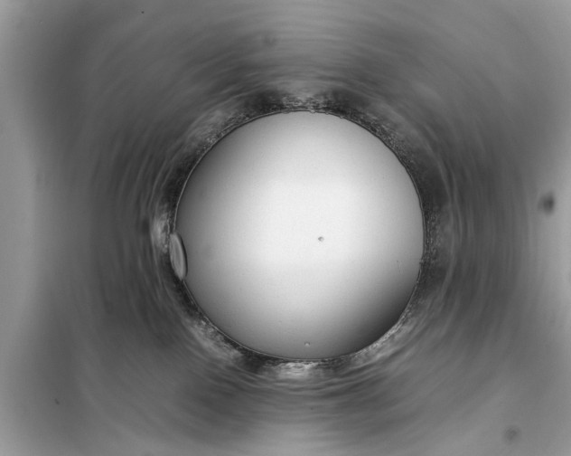 X0000098190090200805081058
