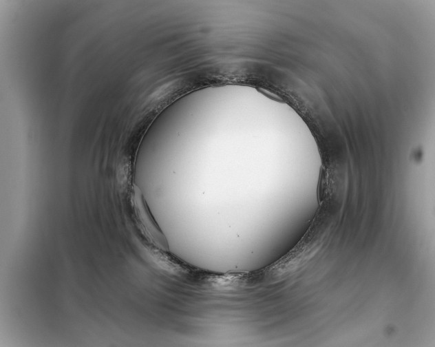 X0000098190092200805081058