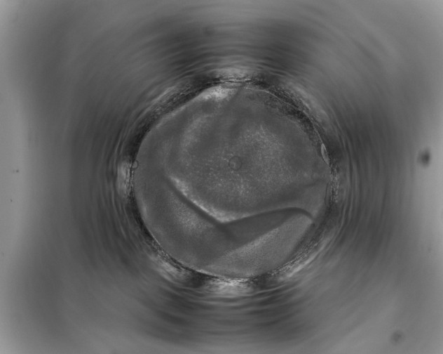 X0000098190093200805081058