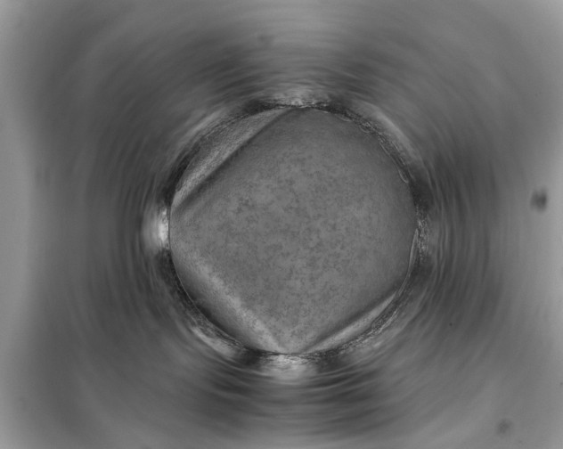 X0000098190095200805081058