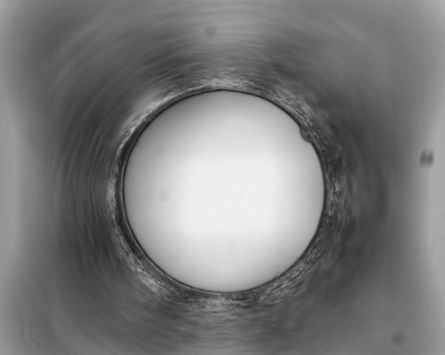 X0000098190098200805081057
