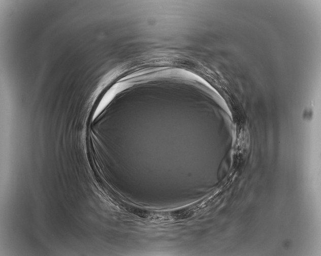 X0000098190099200805081057