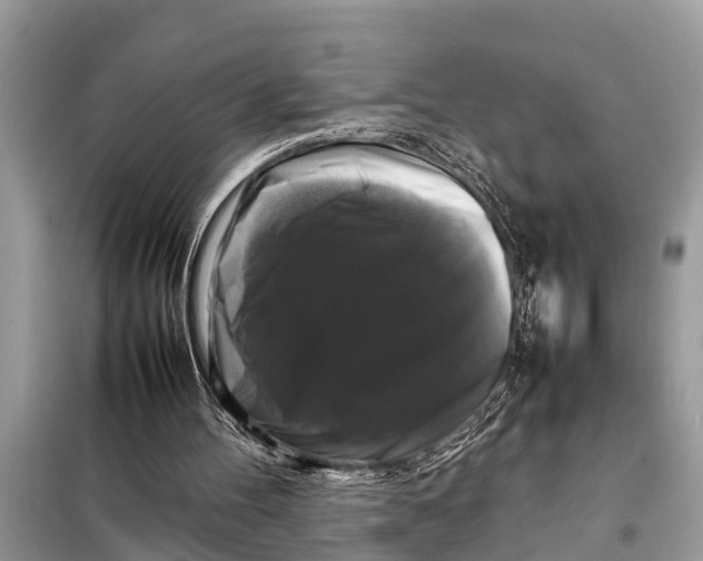 X0000098190100200805081057