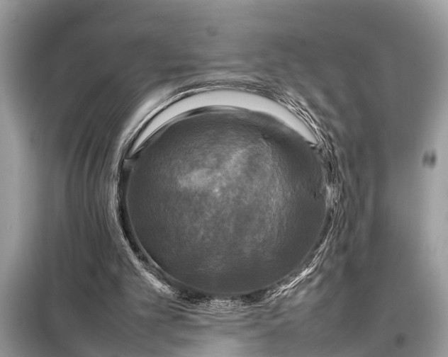 X0000098190101200805081057