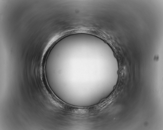 X0000098190102200805081057