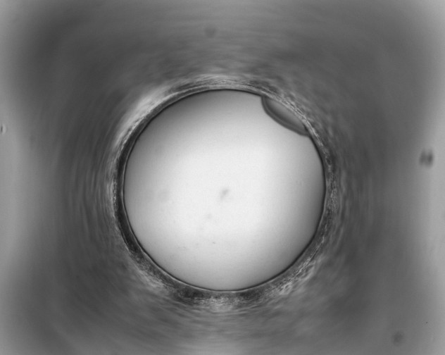 X0000098190103200805081057