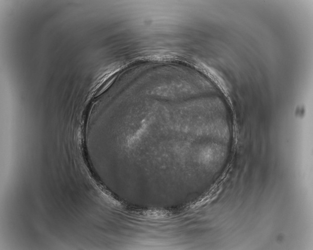 X0000098190105200805081057