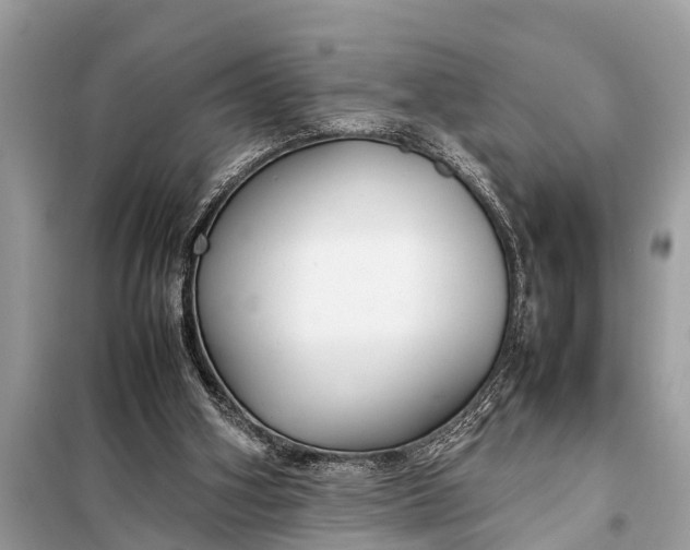 X0000098190106200805081057