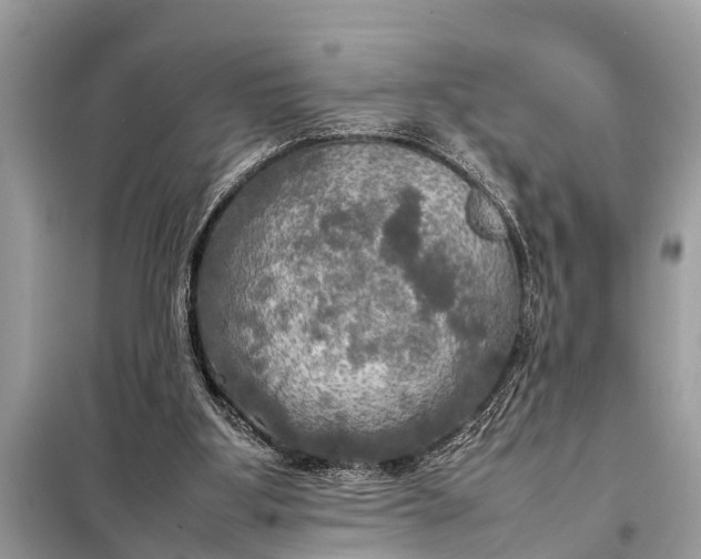 X0000098190107200805081057