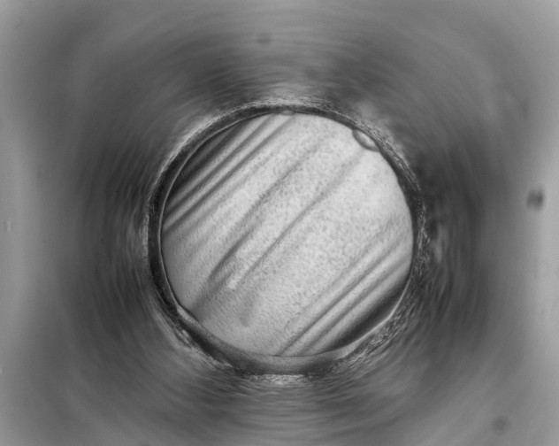 X0000098190108200805081057