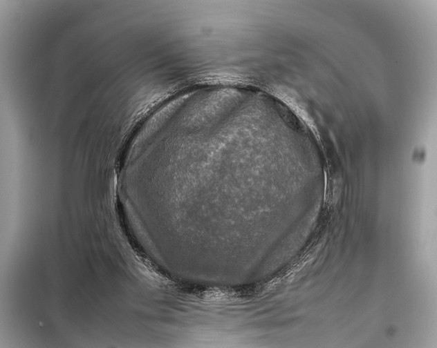 X0000098190109200805081057