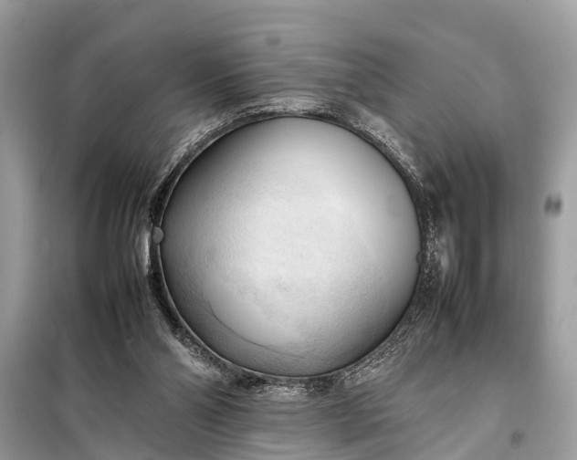 X0000098190110200805081057