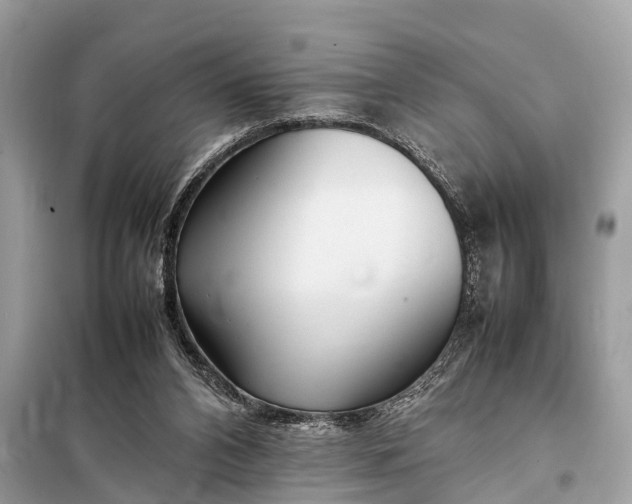 X0000098190112200805081057