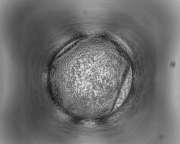 X0000098190113200805081057