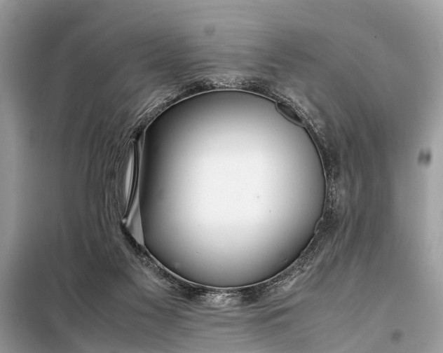 X0000098190117200805081057