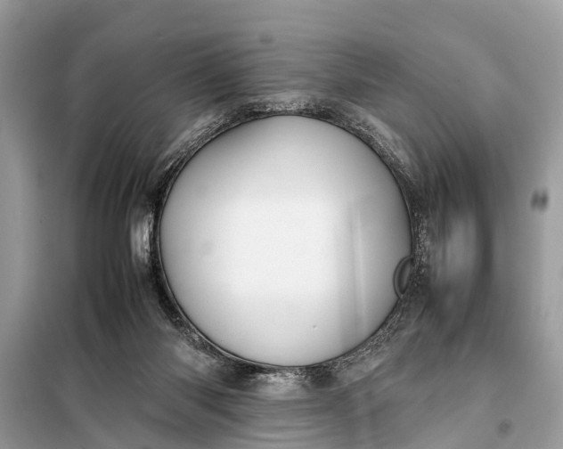 X0000098190118200805081057