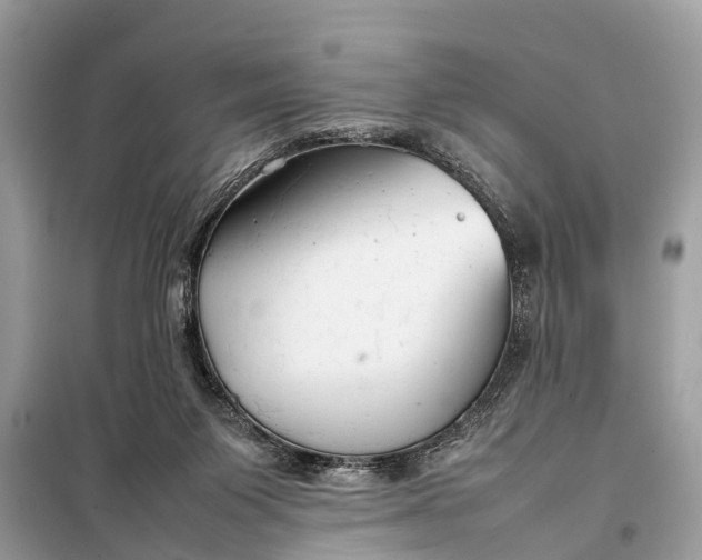 X0000098190119200805081057