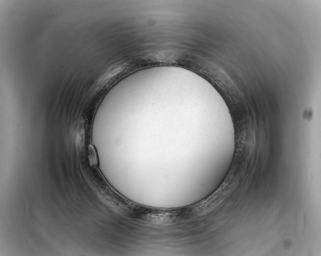 X0000098190120200805081057