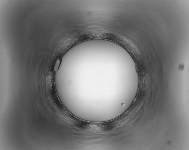 X0000098190121200805081057