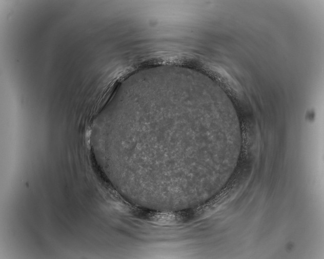 X0000098190123200805081057