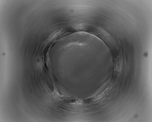 X0000098190124200805081057