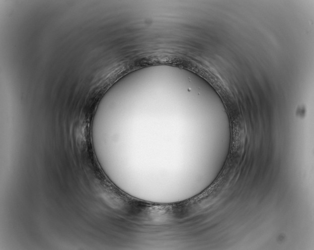 X0000098190126200805081057