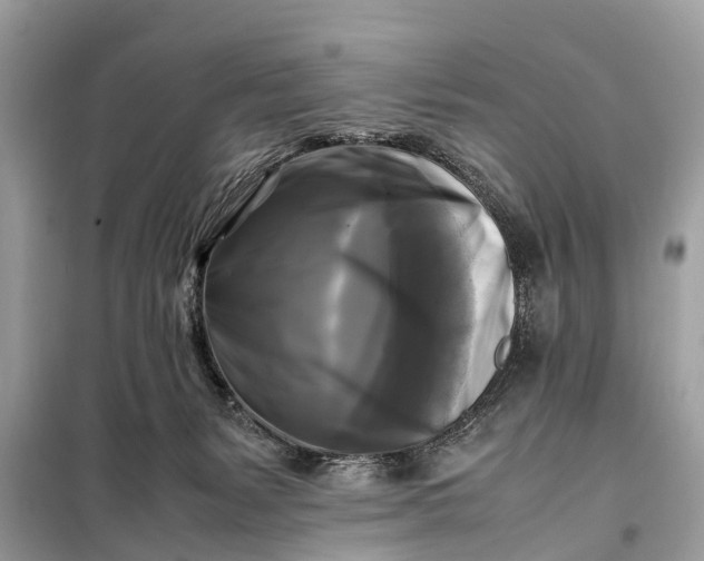 X0000098190127200805081057