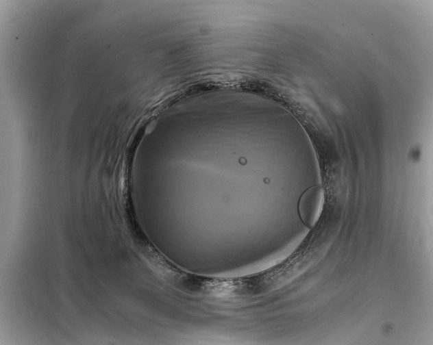 X0000098190131200805081057