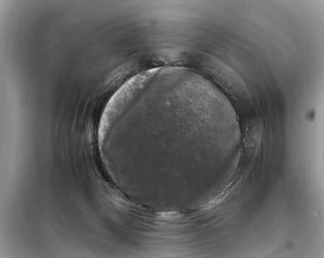 X0000098190132200805081057