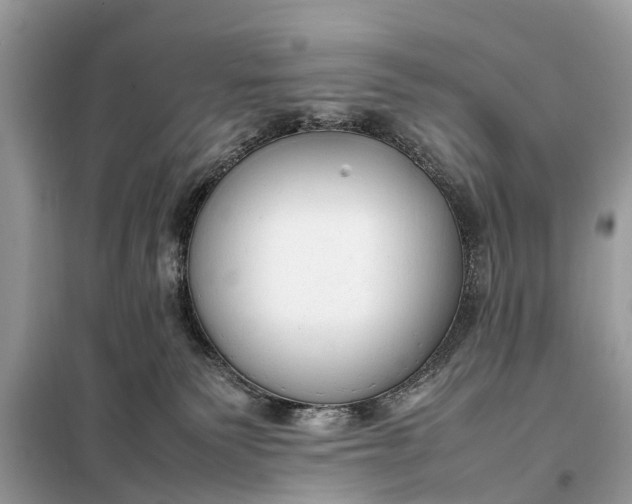 X0000098190135200805081057