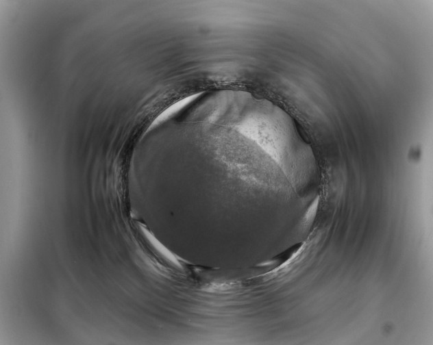X0000098190136200805081057