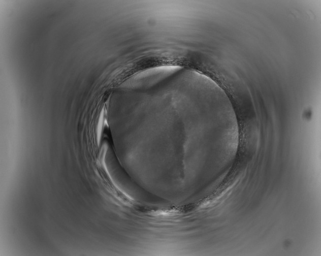 X0000098190137200805081057