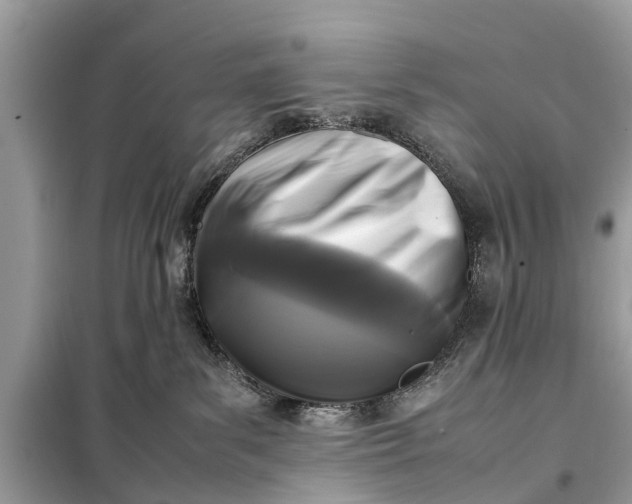 X0000098190139200805081057