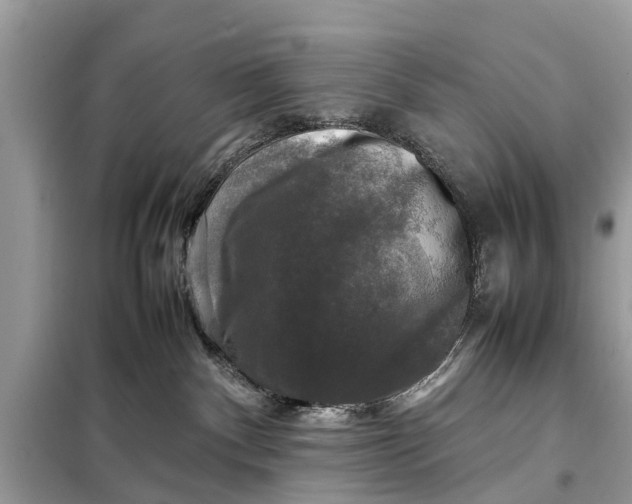 X0000098190140200805081056