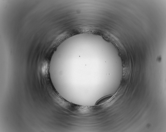 X0000098190142200805081056