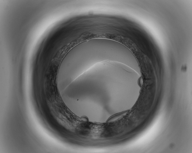 X0000098190143200805081056