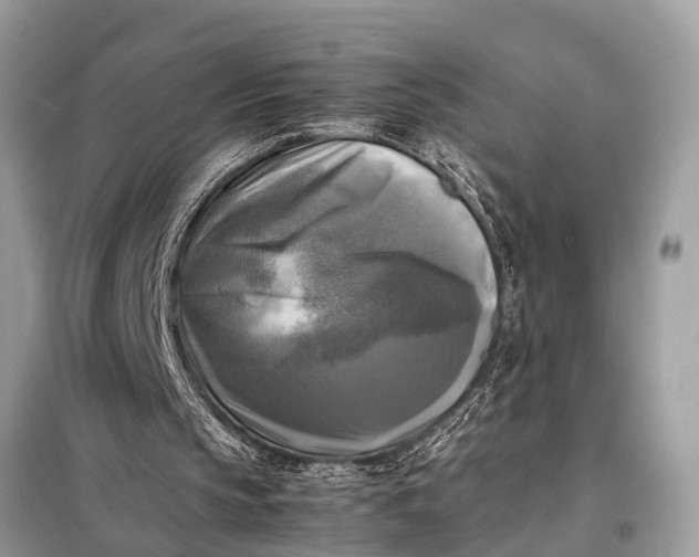 X0000098190145200805081056