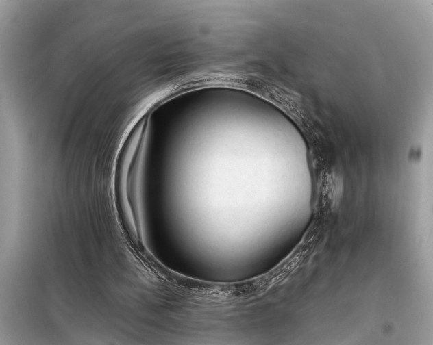 X0000098190148200805081056